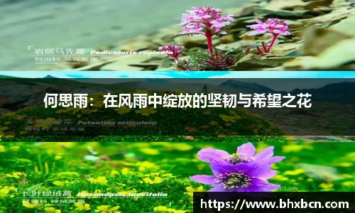 何思雨：在风雨中绽放的坚韧与希望之花